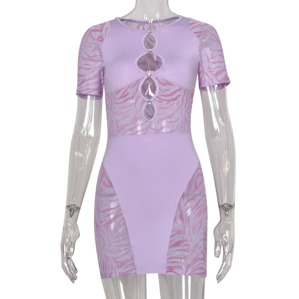 🖤 Unwritten Style —Wild Intentions Sheer Mini Dress eprolo