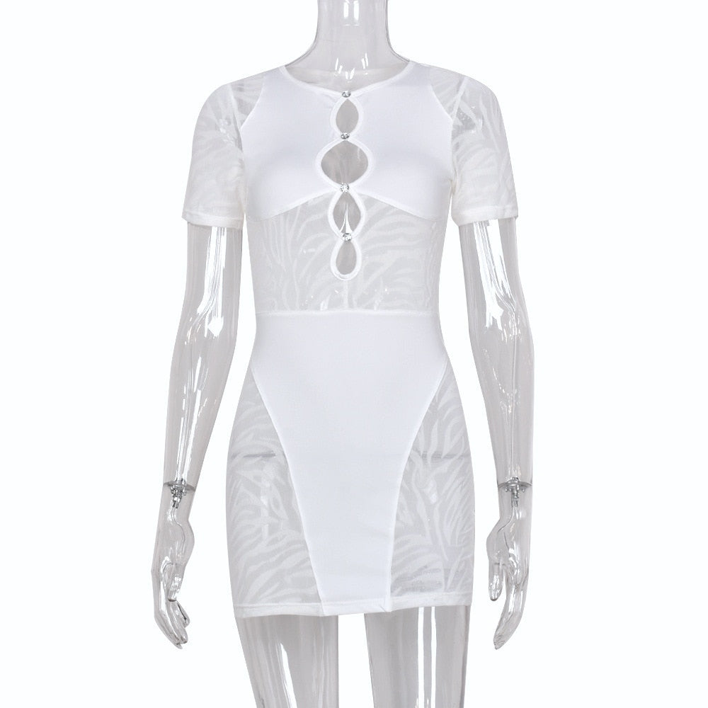 🖤 Unwritten Style —Wild Intentions Sheer Mini Dress eprolo